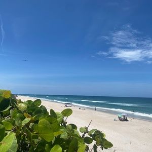 Meet your Posher, Marian rose